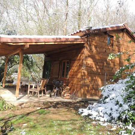 Cabane Dans Les Bois Avec Vue Sur Les Pyrenees Saint-Laurent-de-Neste Exteriör bild