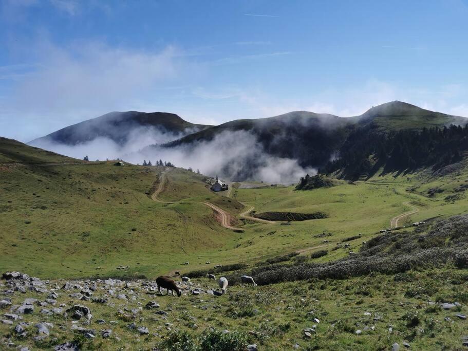 Cabane Dans Les Bois Avec Vue Sur Les Pyrenees Saint-Laurent-de-Neste Exteriör bild