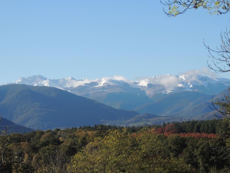 Cabane Dans Les Bois Avec Vue Sur Les Pyrenees Saint-Laurent-de-Neste Exteriör bild